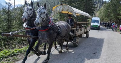 Kolejki do wozów konnych nad Morskie Oko. "Elektryki" mało popularne